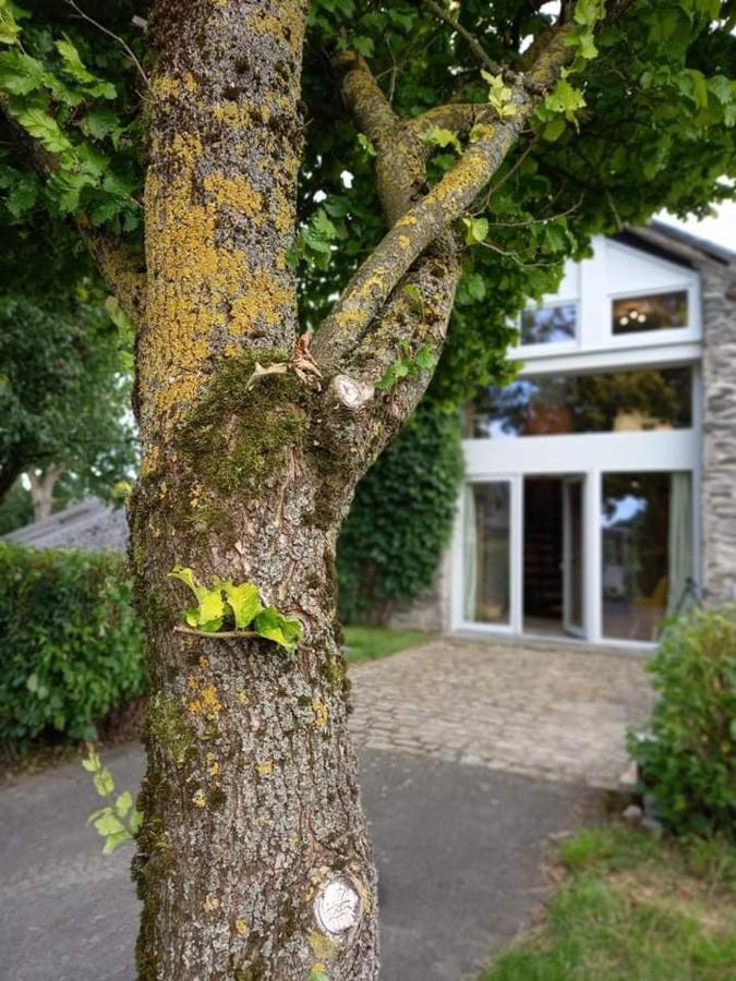 Li Gurni Vila Houffalize Exterior foto